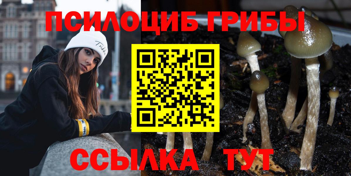 Большой Камень  Галлюциногенные грибы Magic Shrooms  Вход с VPN 