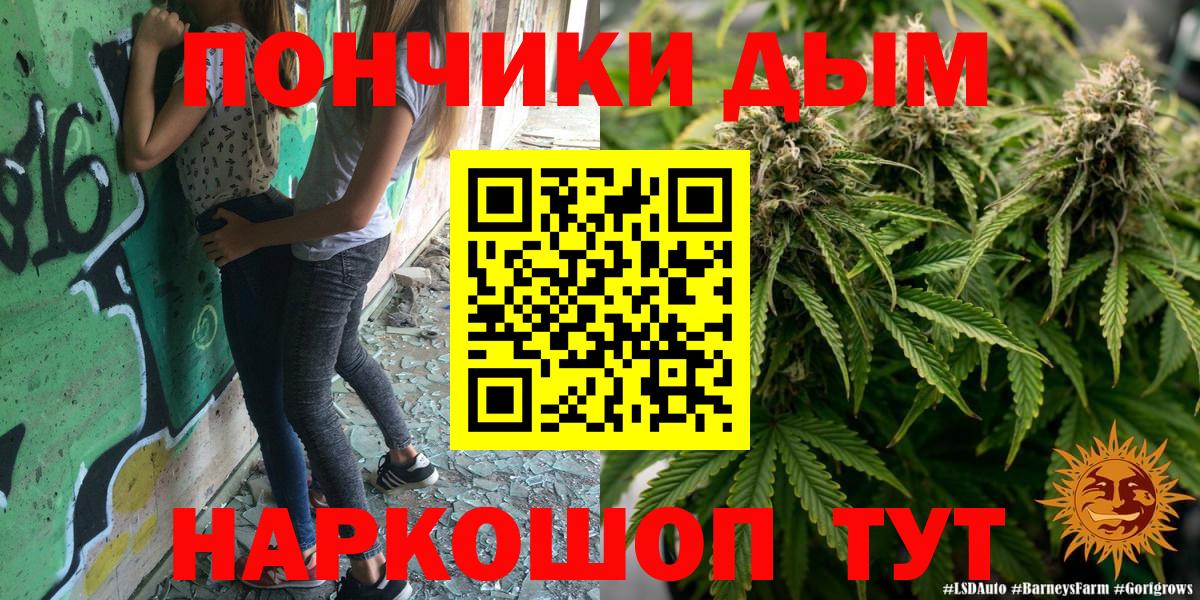 Каннабис Amnesia Большой Камень